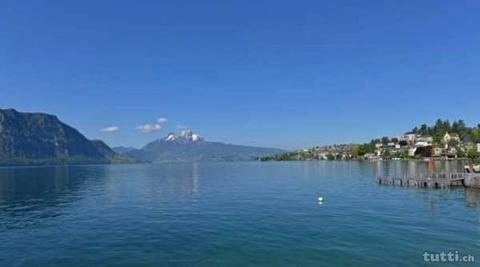 Hübsches Bijou am Vierwaldstättersee