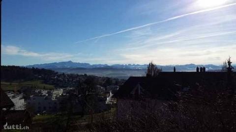 Wohnung mit Charme und wunderschöner Weitsic