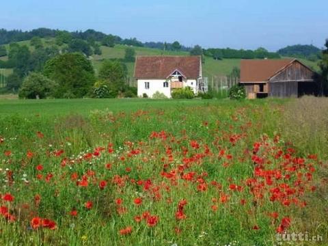 Einfamilienhaus mit Garten mitten im Stammert