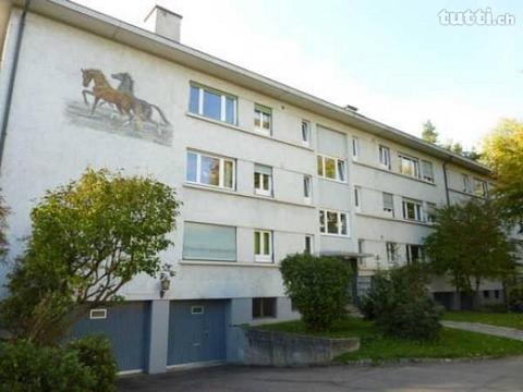 4.5-Zimmerwohnung in ruhiger Lage im Frankent