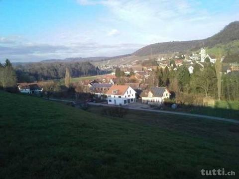 Wohnung im Grünen