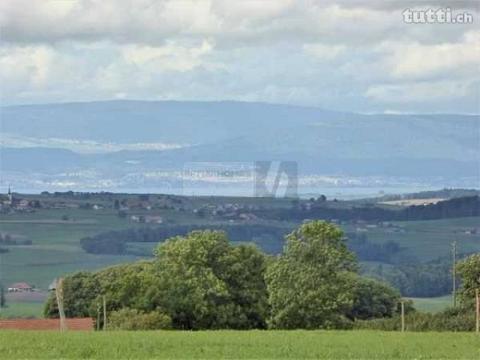 DANS UN CADRE VERDOYANT ET IDYLLIQUE