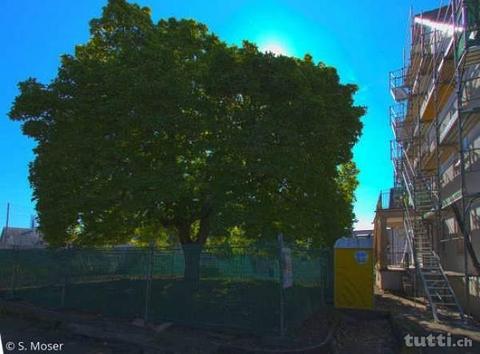 grosszügige Wohnung mit sonnigem Balkon in hi