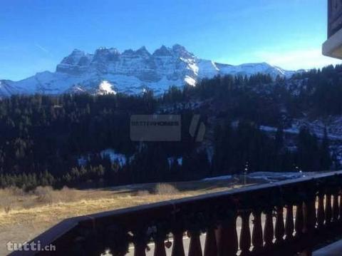 MAGNIFIQUE ET AUX PIEDS DES PISTES