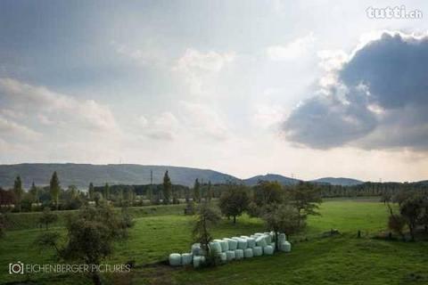 Ein Leben am Fluss: grosszügiges, modernes Ei