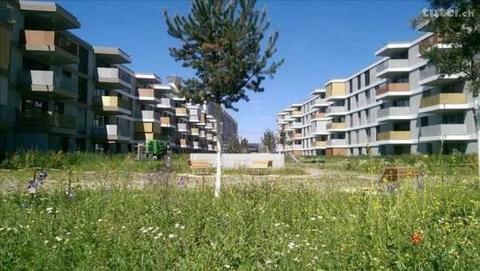 Schöne 2.5 Zimmer-Neubauwohnung an zentraler