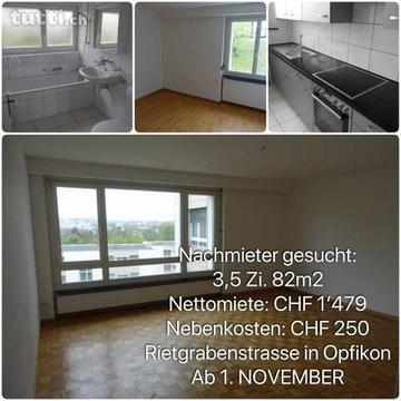 Nachmieter per 1. November gesucht