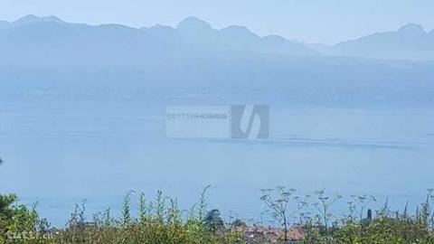 VUE PANORAMIQUE SUR LES ALPES ET LE LAC