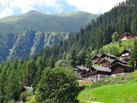 Ein Chalet im Gebiet Blatten-Belalp!!