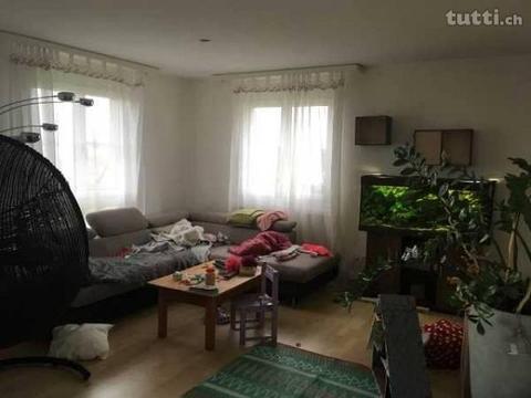 Schöne und grosszügige helle Wohnung