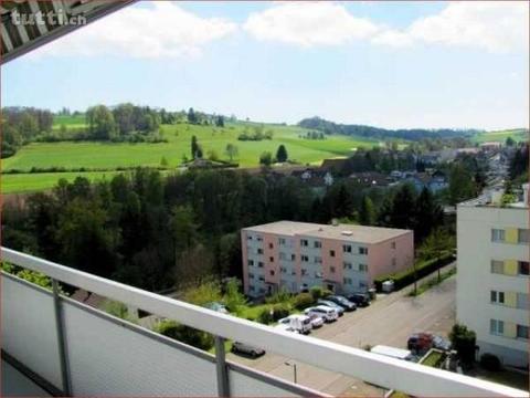 Gepflegte Wohnung mit sensationeller Aussicht