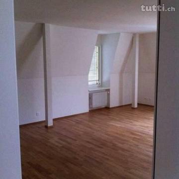 Wunderschöne, grosse Wohnung im Maihofquartie