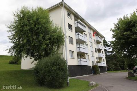 Schöne 4.5-Zimmerwohnung in Immensee