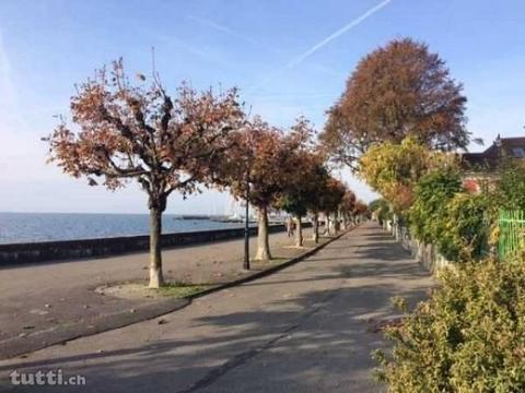 Très bel appartement à louer au coeur de Lutr