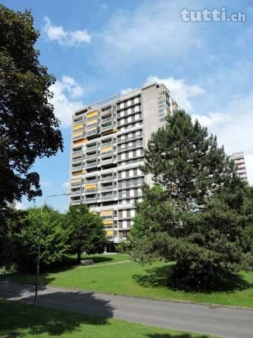 Schöne, sonnige Wohnung in Muri