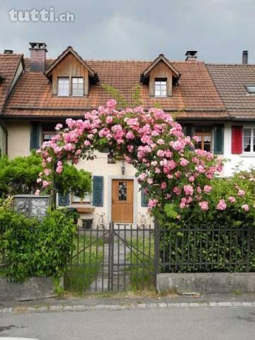 Gemütliche 3- Zi. Wohnung an ländlicher Lage