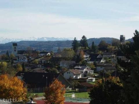 WUNDERSCHÖNE FERNSICHT AUF DIE ALPEN