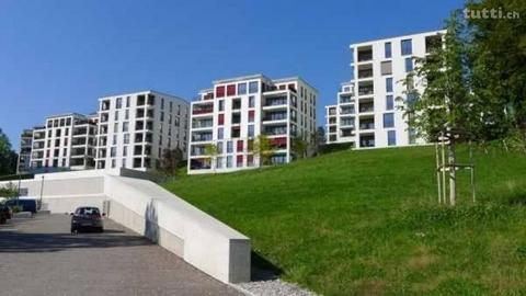 Neuwertige Wohnung mit herrlicher Aussicht