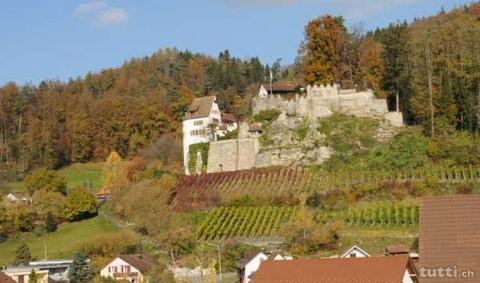 Einmalige Designwohnung mit Blick auf Schloss