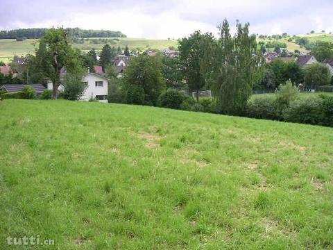 2312 m2 Bauland für Investor