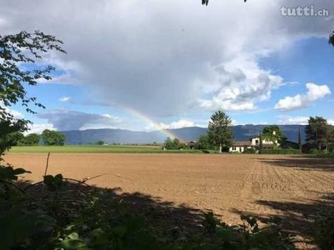 CONSTRUCTION SUR PLANS DE 3 MAISONS CONTIGUËS