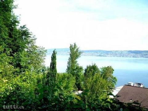 Traumhaft Haus mit dem Zürichsee Blick