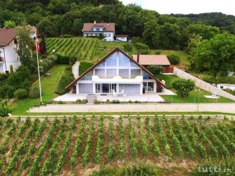 Propriété rare avec vigne privée et vue lac à