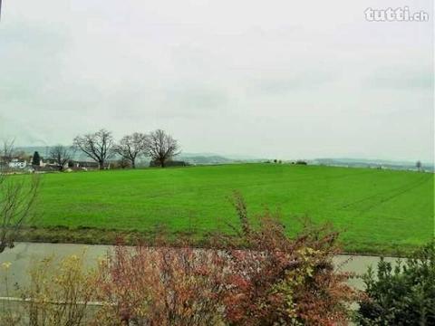 ruhige Wohnung mit Aussicht ins Grüne am Rand