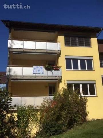 Frisch renovierte 3.5-Zimmerwohnung mit Blick