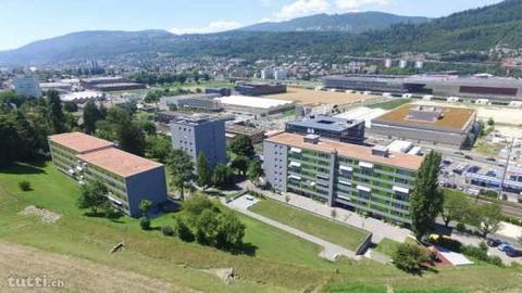 Charment appartement rénové de 3 pièces