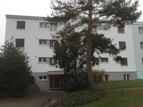 Super neurenoviert 2-Zimmerwohnung im Grünen