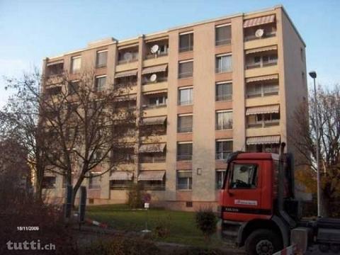 grosszügige, renovierte 2.5 Zimmerwohnung