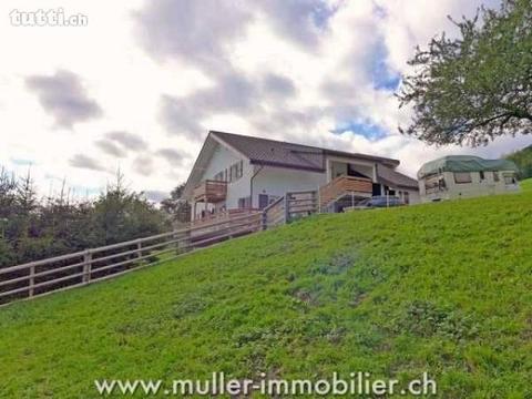 Ferme rénovée avec magnifique vue sur le lac