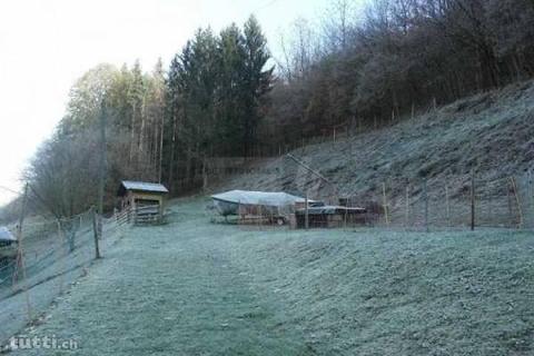 AU CALME POUR LES AMOUREUX DE LA NATURE