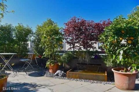 Attikawohnung mit 90m2 Terrasse