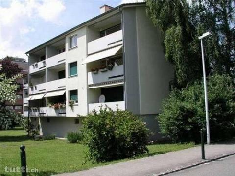 Sanierte Wohnung im Grünen