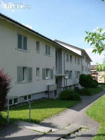 Moderne Wohnung in Zürich-Schwamendingen