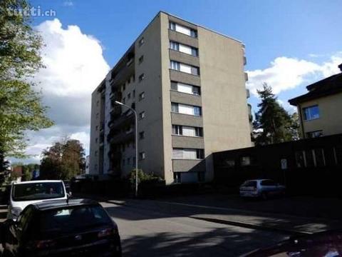 NEU RENOVIERTE WOHNUNG MITTEN IN BRUGG