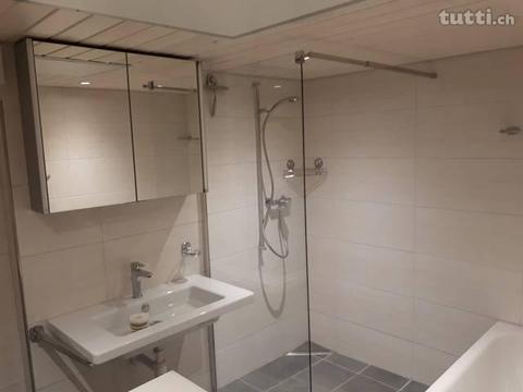 Neu teilrenovierte Wohnung in Weggis