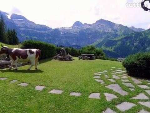 Im malerischen Lenk werden Träume wahr