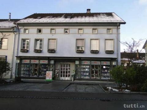 Grosse moderne Dachwohnung im Haus ?Harmonie?