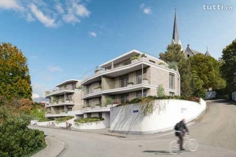 Neubau- Attikawohnung mit riesiger Terrasse