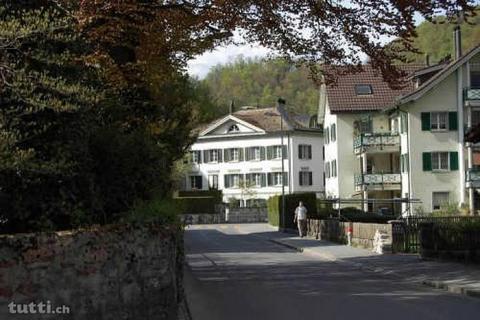 3.5 Zi Wohnung im Haus am Weinberg