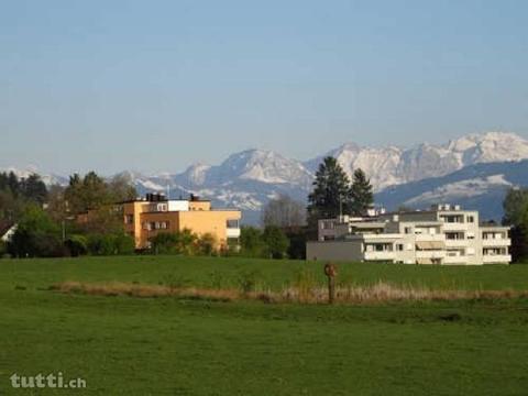 Grosszügige 4.5-Zimmerwohnung mit See- & Alpe