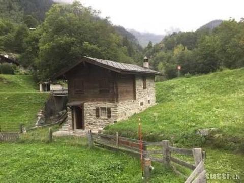 Bjou von einem 3-Zimmer Ferienhaus (Liebhaber