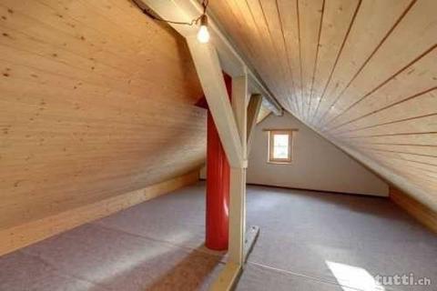 Atelier mit Dachwohnung sucht Künstler