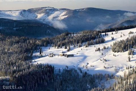 Kostengünstige Ferien im Schwarzwald