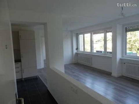 Neu renovierte 3 Zimmerwohnung ab sofort