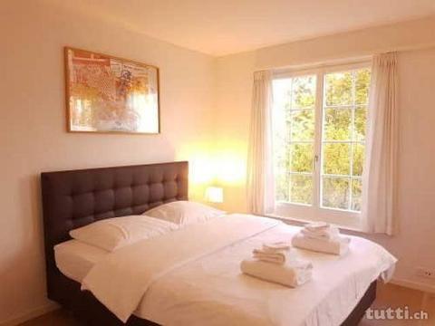 Fully furnished studio in the old town - UZ 1