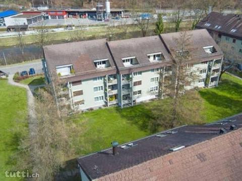 gemütliche Wohnung direkt an der Sihl